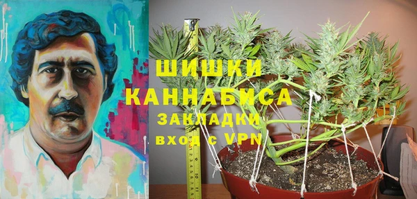 PSILOCYBIN Алзамай