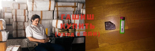 PSILOCYBIN Алзамай