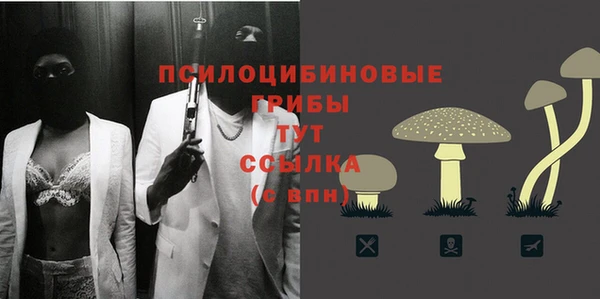 spice Алексин