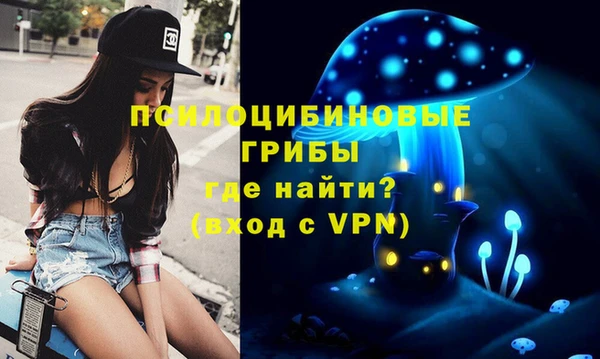 PSILOCYBIN Алзамай