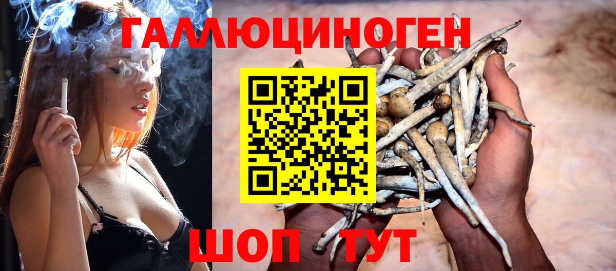 Галлюциногенные грибы Psilocybe  Галлюциногенные грибы прущие грибы  Морозовск  Вход с VPN 